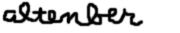 Wait for the image to appear