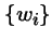 $\{w_i\}$