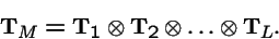 \begin{displaymath}{\bf T}_M = {\bf T}_1 \otimes {\bf T}_2 \otimes \ldots \otimes {\bf T}_L.
\end{displaymath}