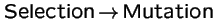 $\mbox{Selection} \!\rightarrow\! \mbox{Mutation}$