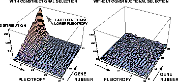 \begin{figure}\epsfxsize= 8.1cm%
\epsffile{EPS/NKPleioDist.eps}\end{figure}