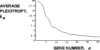 \begin{figure}\epsfxsize= 8.1cm%
\epsffile{EPS/NKAvgPleio.eps}\end{figure}